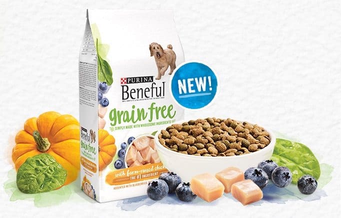 Best Online Site To Buy Dog Food Best Online Site To Buy Dog Food