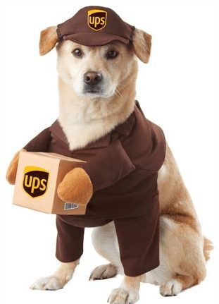 Super Cute Pet Costumes for Halloween