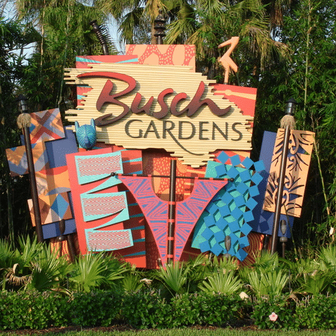 2020 Busch Gardens Fun Card And Get An Adventure Island Fun Card