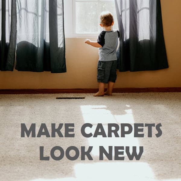 Make Carpets Look New Again + Home Made Carpet Cleaning Solution