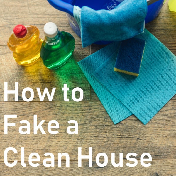 fake clean house