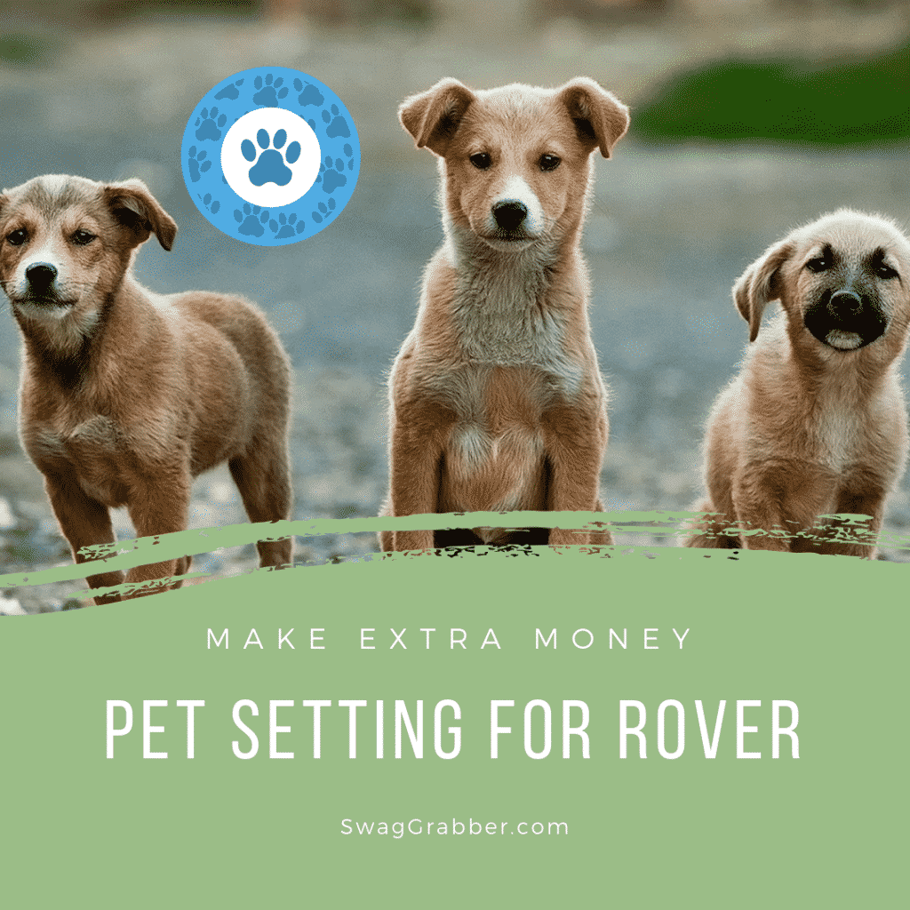 Make Extra Money Pet Setting for Rover