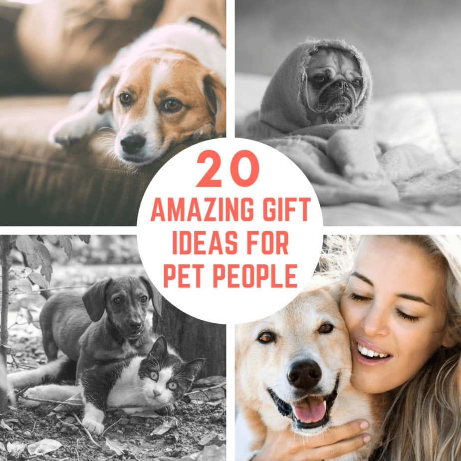 Amazing Gift Ideas for Pet People