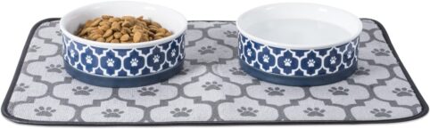 ceramic pet food and water bowls