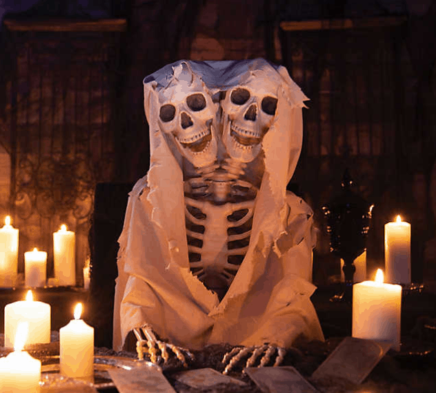 Unique Halloween Skeleton Decorations