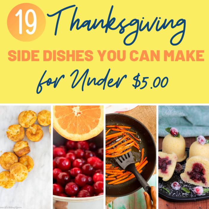 19 Thanksgiving Dishes You Can Make for Under  