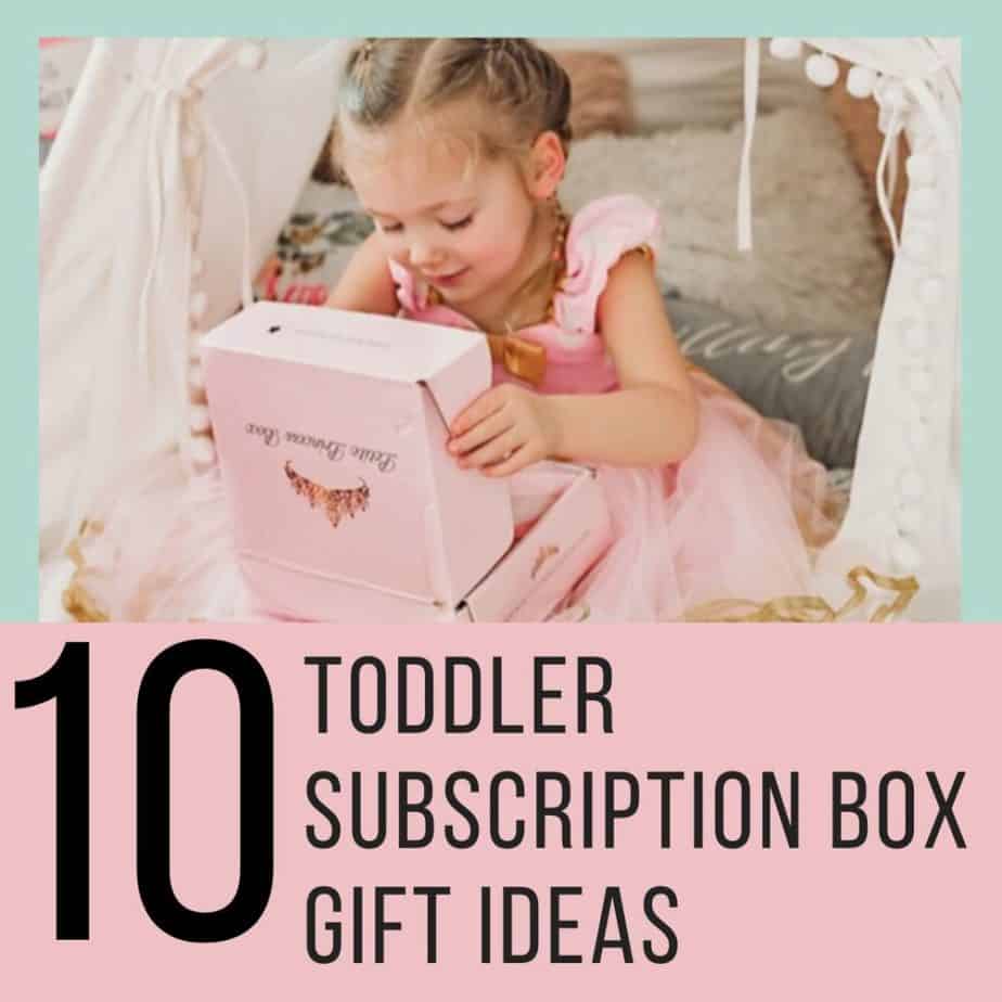 Best Monthly Subscription Boxes for Toddlers SwagGrabber