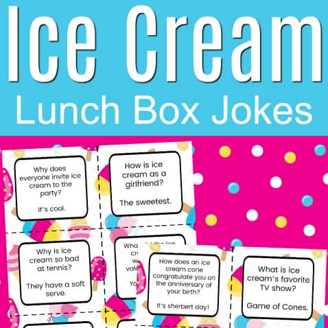 ice cream lunch box jokes