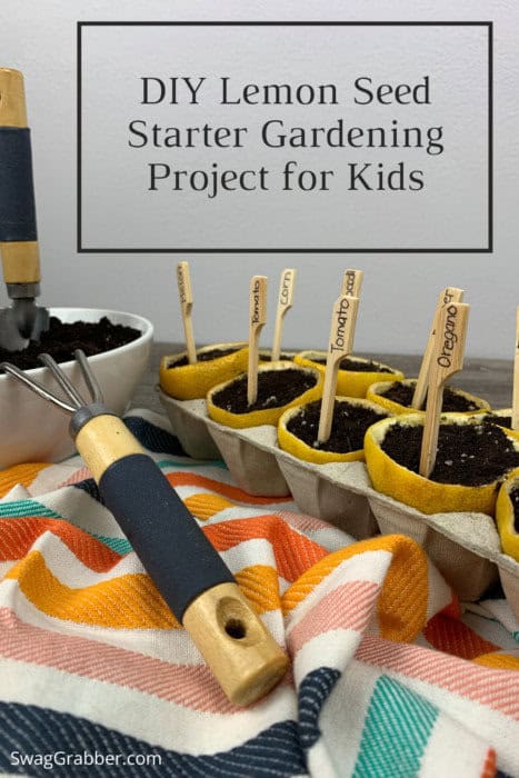 DIY Lemon Seed Starter Gardening Project for Kids