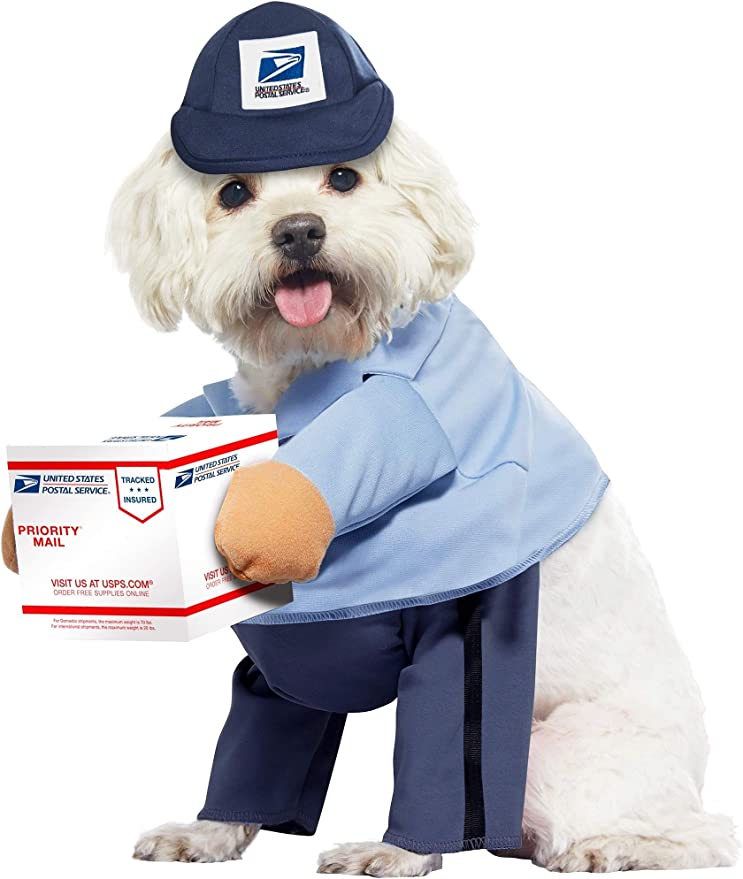 dog mail carrier costume usps small
