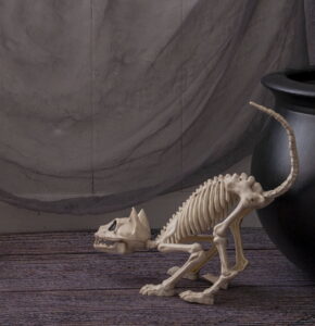 halloween faux skeleton crazybonez pouncing cat