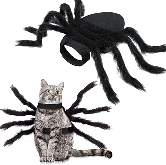 halloween spider costume for dog cat