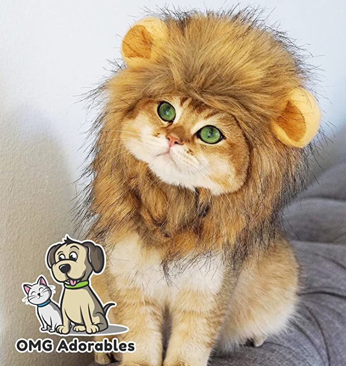 lion mane costume for cat halloween special