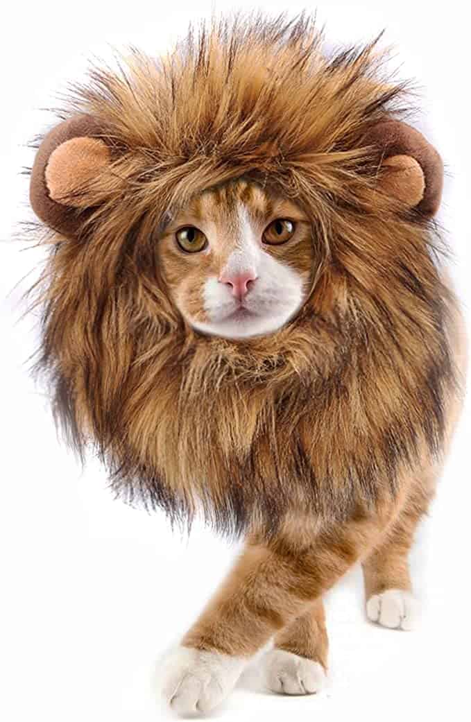 onmygogo lion mane wig for cats