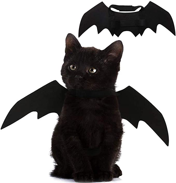 pet cat costume halloween bat wings