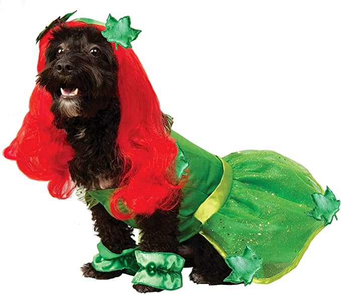 rubies dc comics poison ivy pet costume