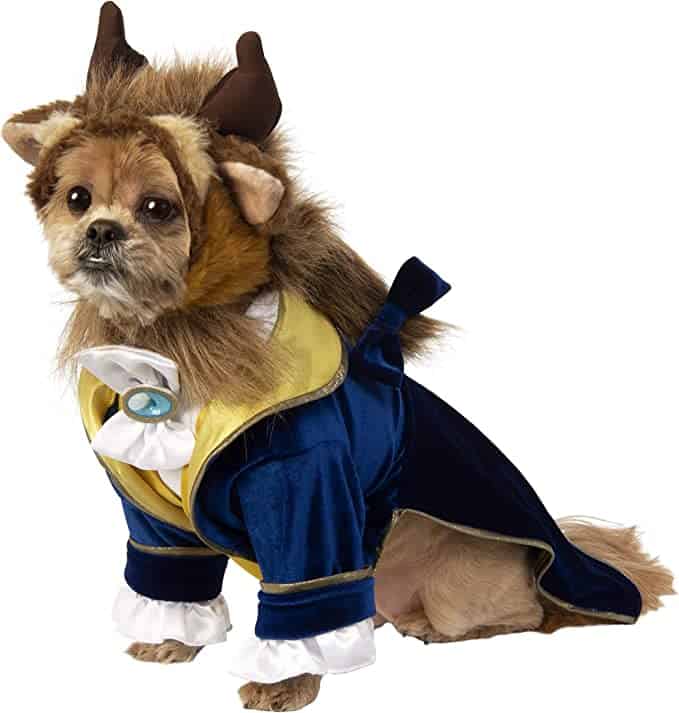 rubie's disney beauty & the beast pet costume