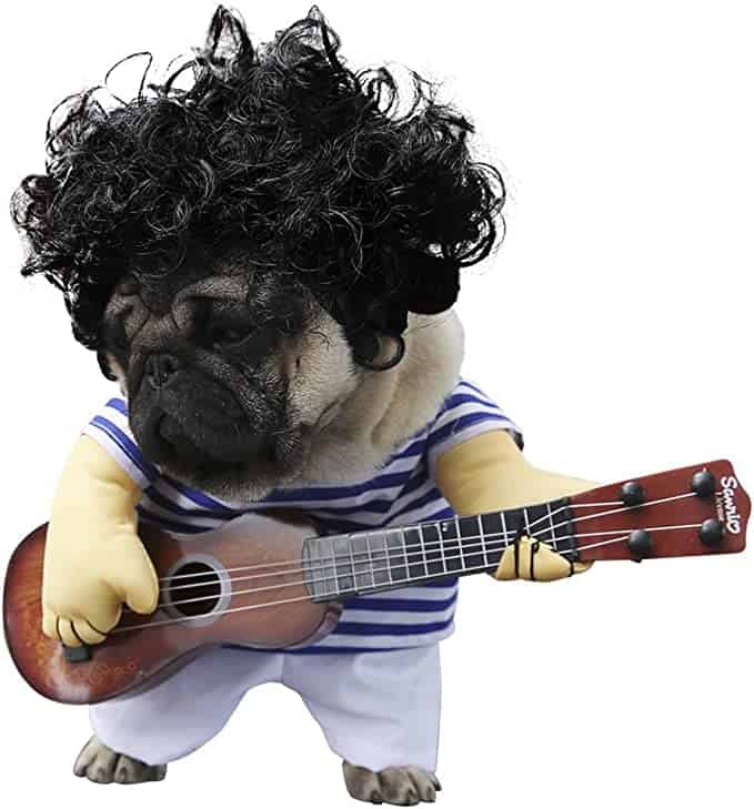 s lifeeling pet guitar costume dog costumes guitarist player ourfits