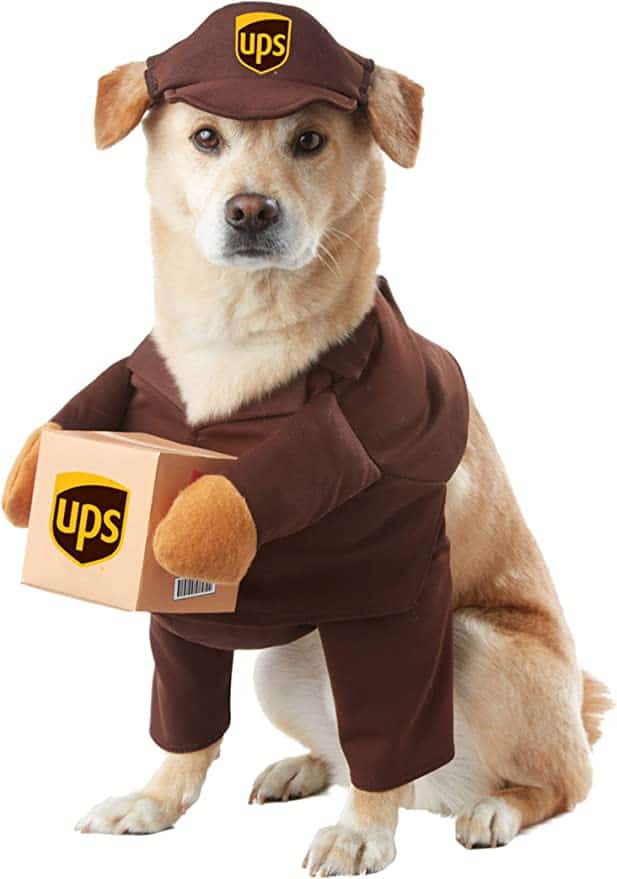 ups dog costume