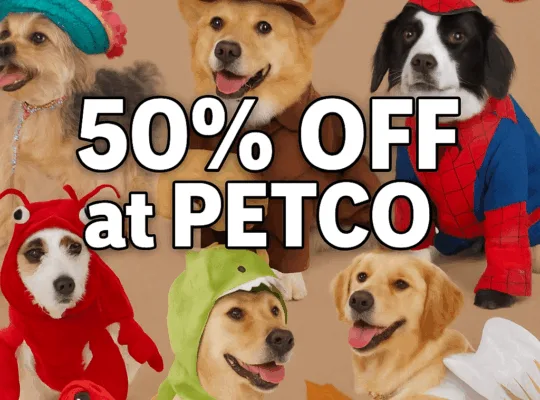 Dogs in costumes promoting PETCO 50% off sale.