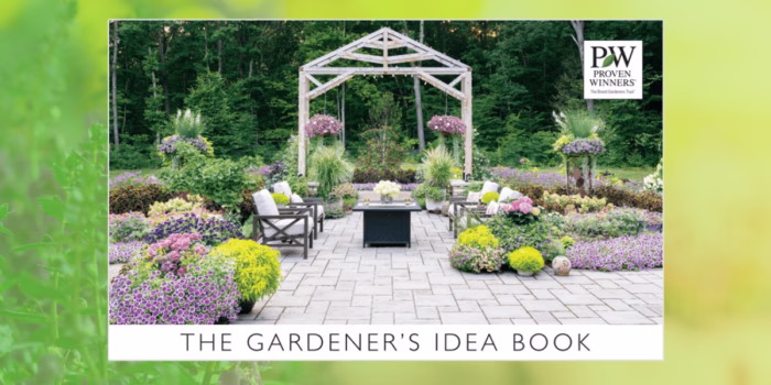 Beautiful garden patio idea with vibrant flowers.