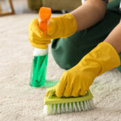 scrubbing carpets