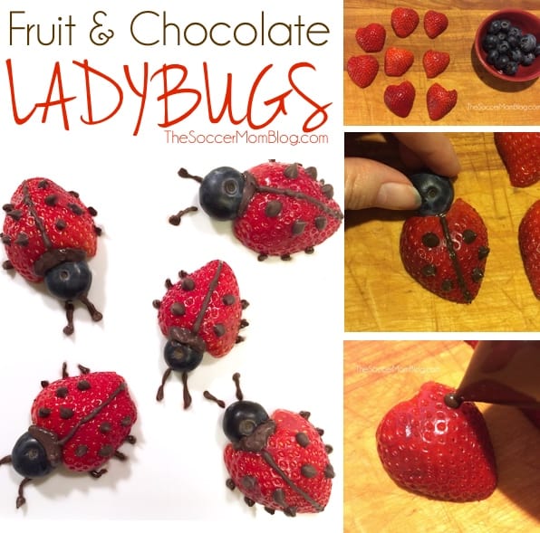strawberry chocolate fruit ladybugs j