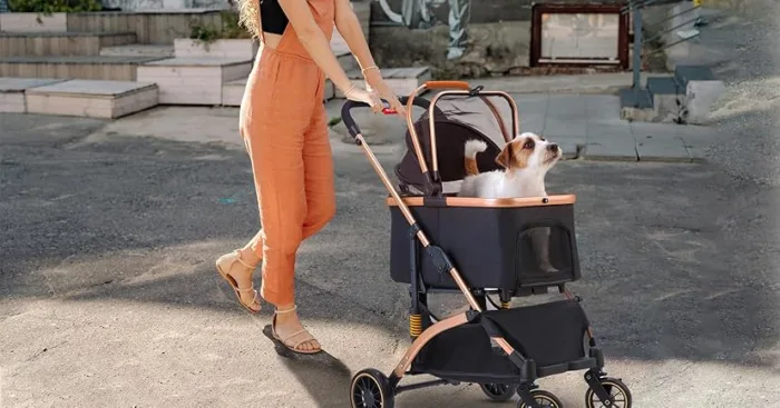 Woman walking a dog in a stroller outside.