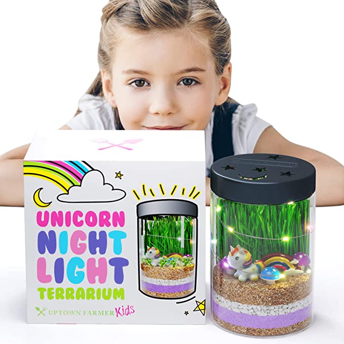 unicorn terrarium kit
