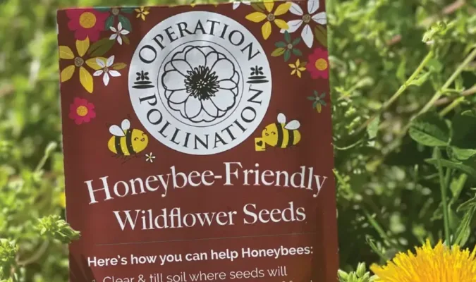 Honeybee-friendly wildflower seeds packet in garden.