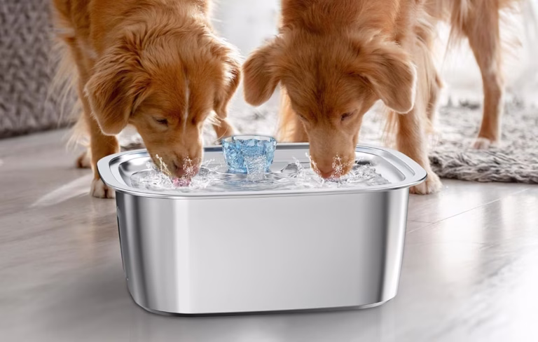 Two dogs drinking from a pet water fountain.