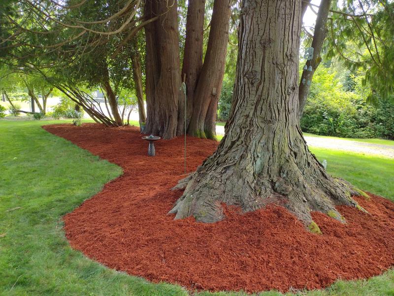 lowes mulch around trees