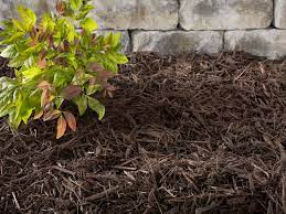 lowes mulch in beds