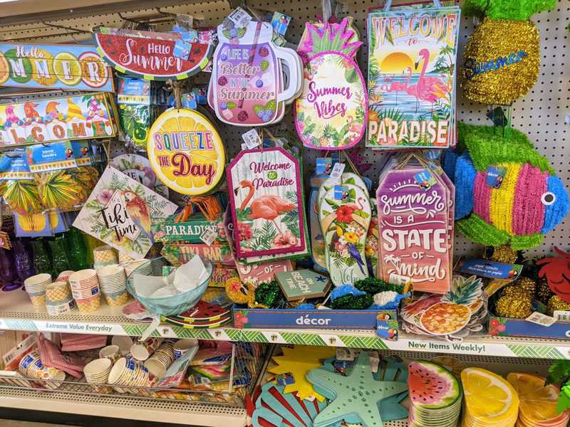 15 Best Items To Buy at Dollar Tree This Summer