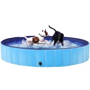 pet swimming pool