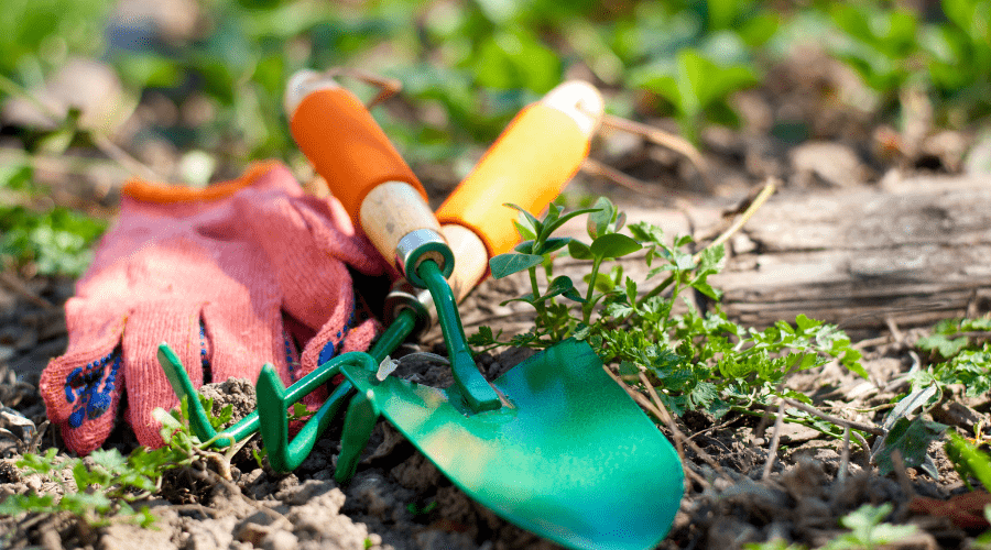 gardening tools