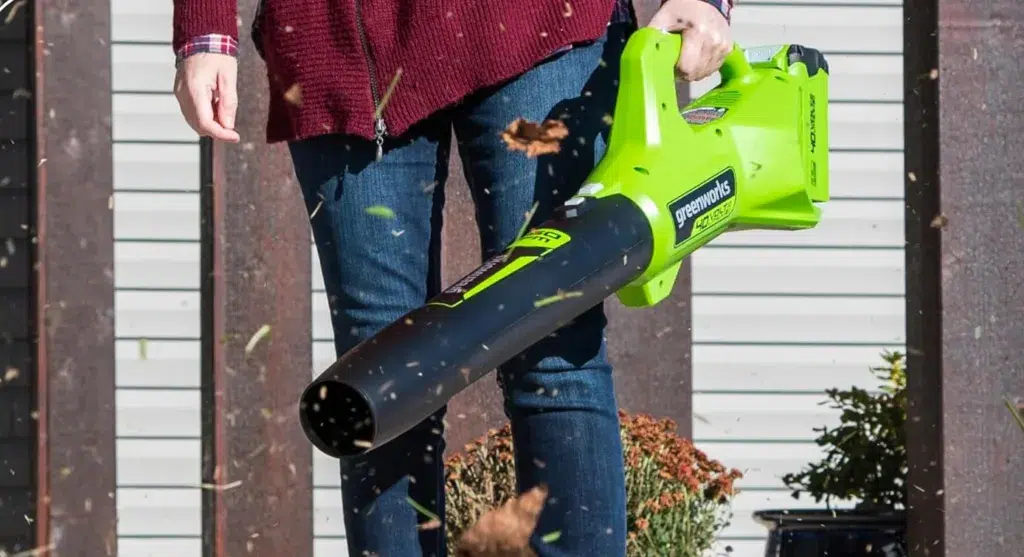 Person using Greenworks leaf blower outdoors