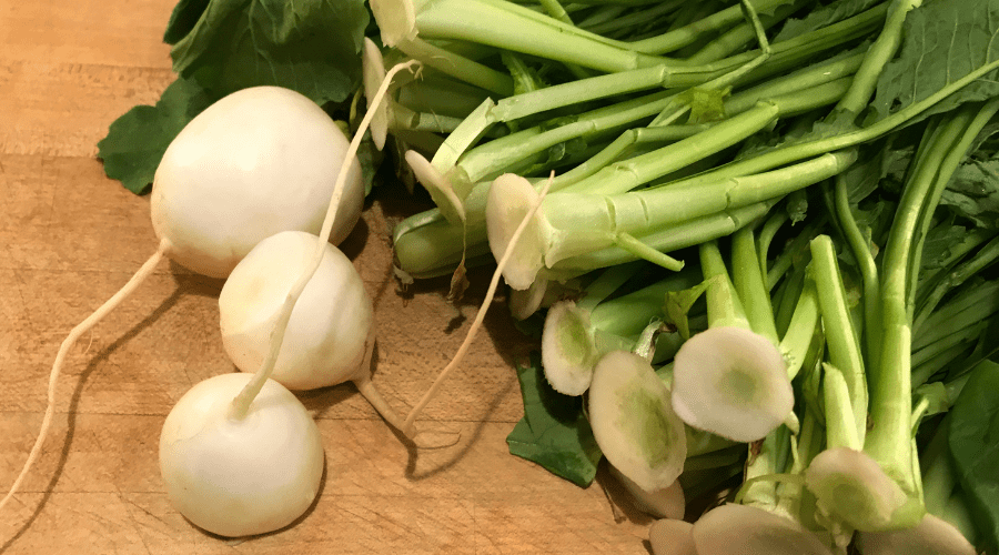 regrow turnips