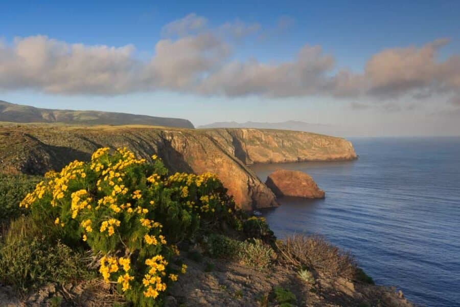 santa cruz island