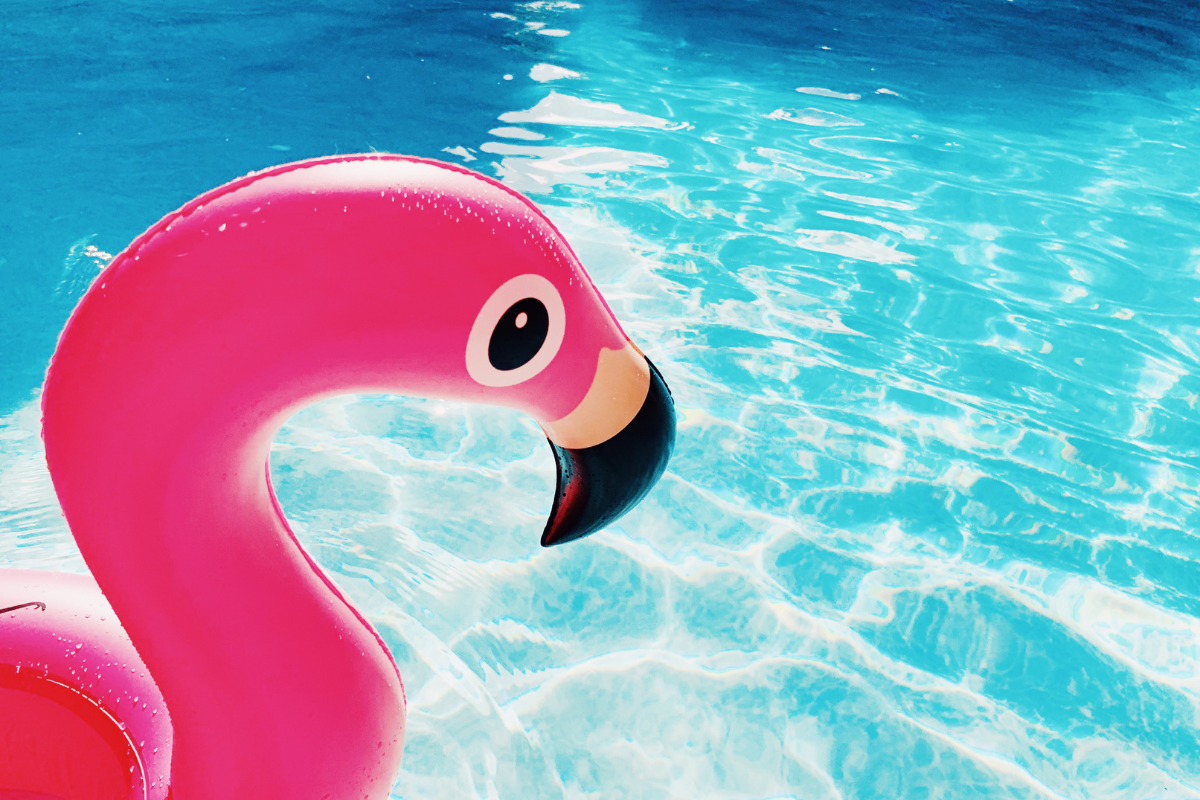 flamingo pool toy in pool