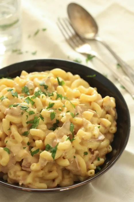 tuna mac and cheese one pot