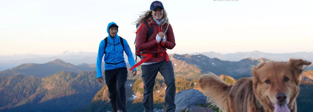 eddie bauer rewards program