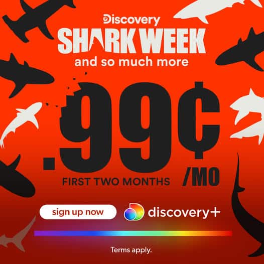 Discovery+ Only 0.99 Per Month Right Now Shark Week Stars July 24th