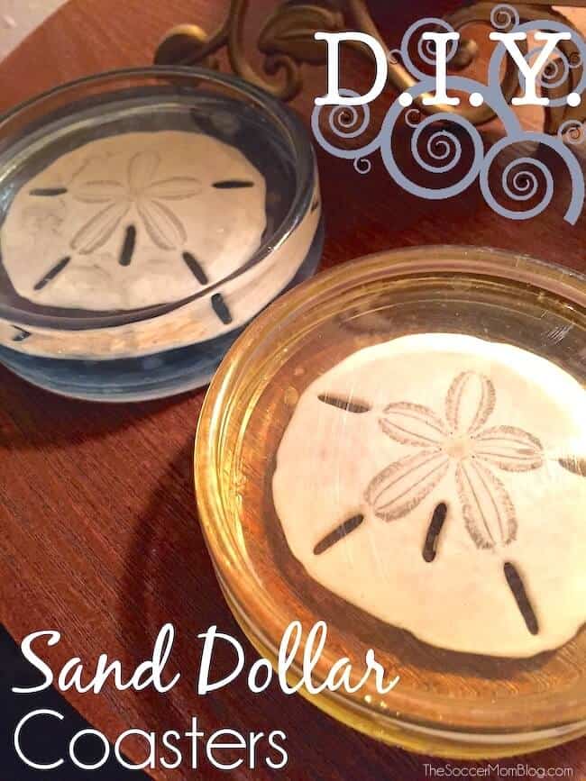 diy sand dollar resin coasters