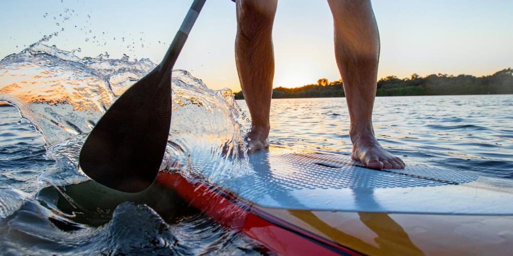 paddleboards