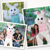 easter bunny pic at bass pro