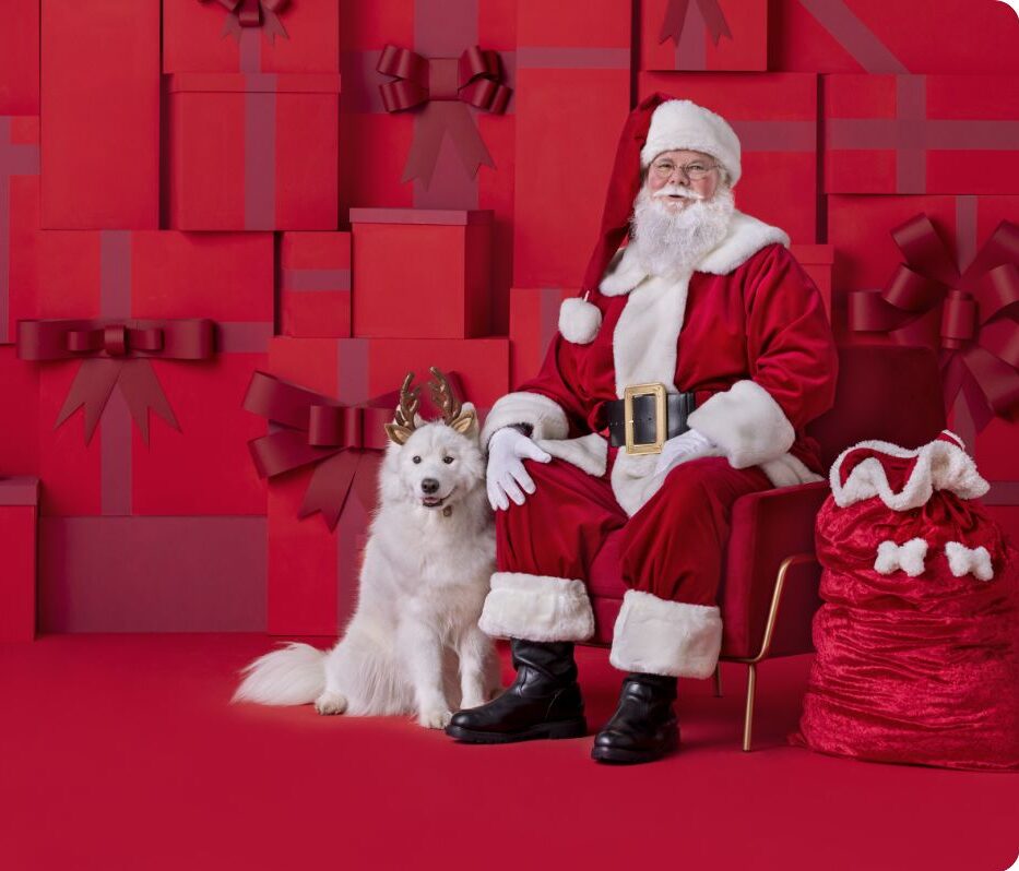 petsmart photo with santa