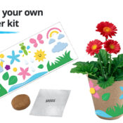 free grow your own flower kit craft activity for kids at jcpenney