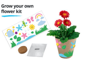 free grow your own flower kit craft activity for kids at jcpenney