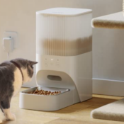 automatic cat food feeder on sale
